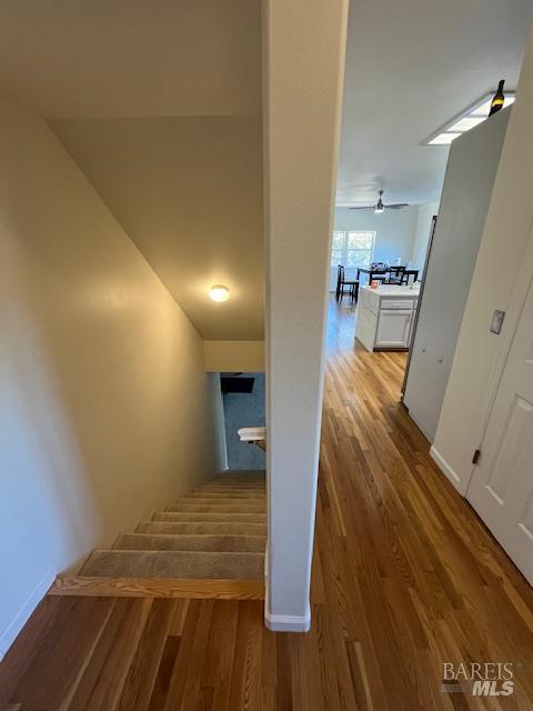 2410 Harness Drive Pope Valley CA 94567