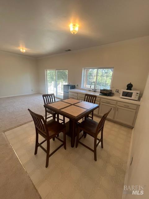 2410 Harness Drive Pope Valley CA 94567