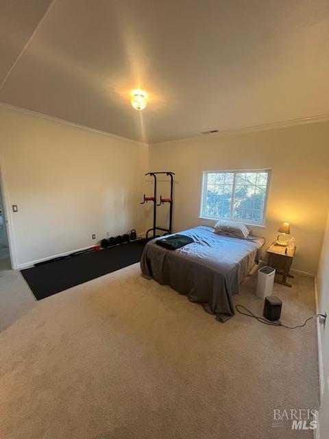 2410 Harness Drive Pope Valley CA 94567