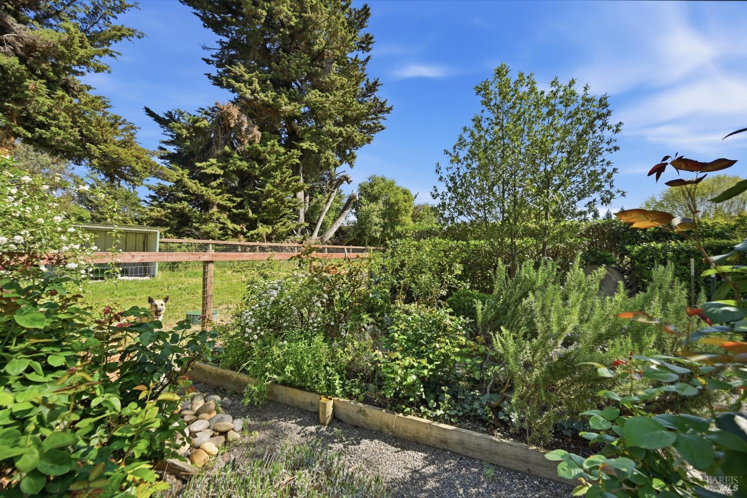 4320 Roblar Road Petaluma CA 94952