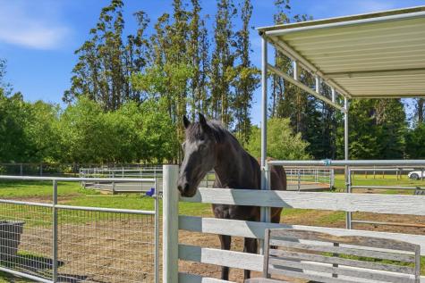 4320 Roblar Road Petaluma CA 94952