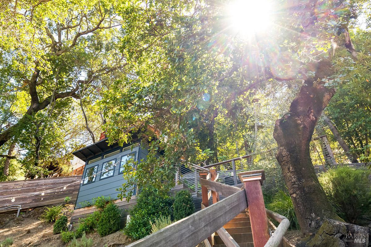 343 Prospect Drive San Rafael CA 94901
