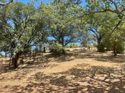 1913 Carlile Place Santa Rosa CA 95403