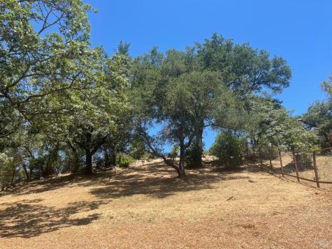 1913 Carlile Place Santa Rosa CA 95403