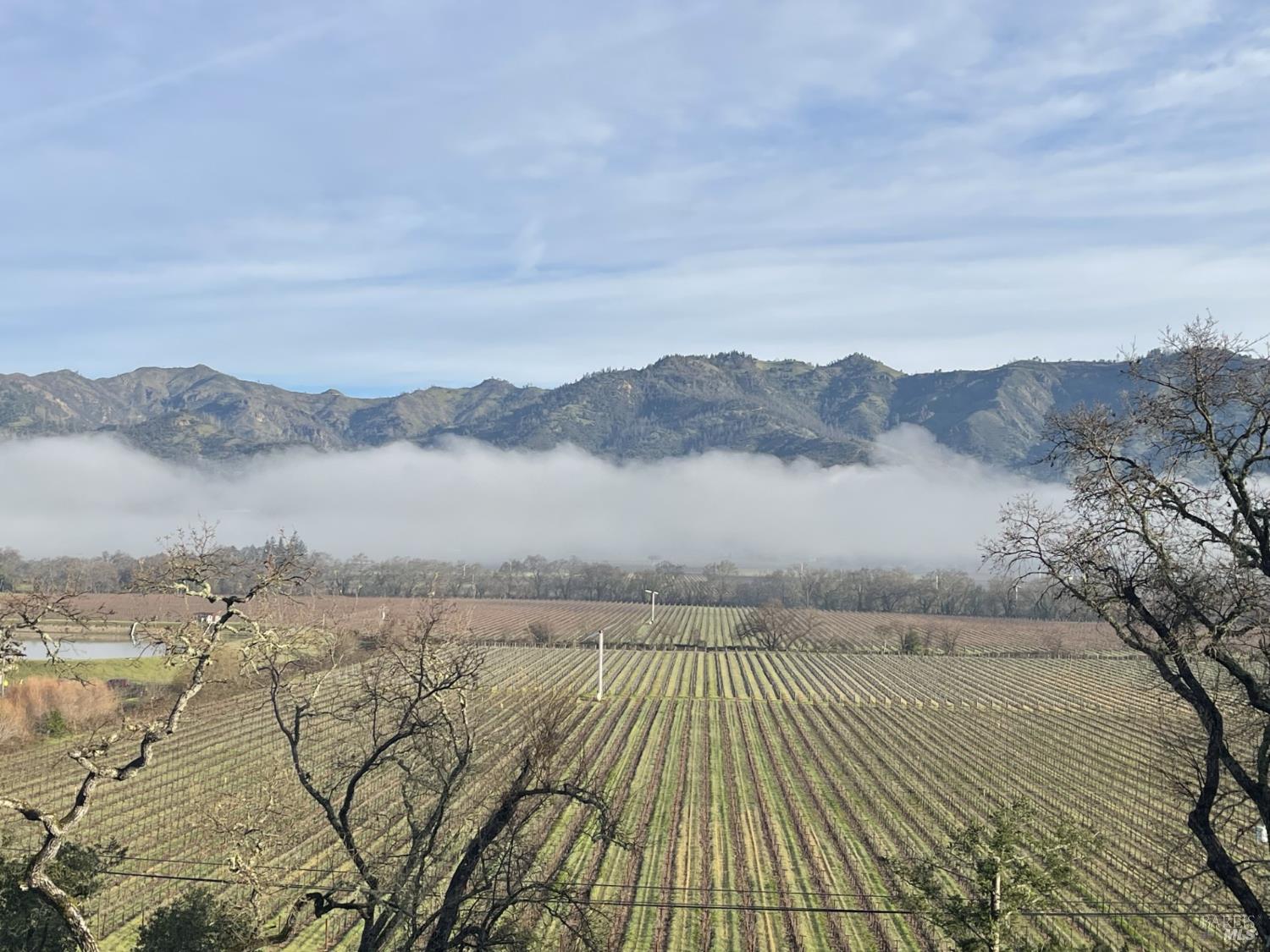 1387 Tucker Road Calistoga CA 94515