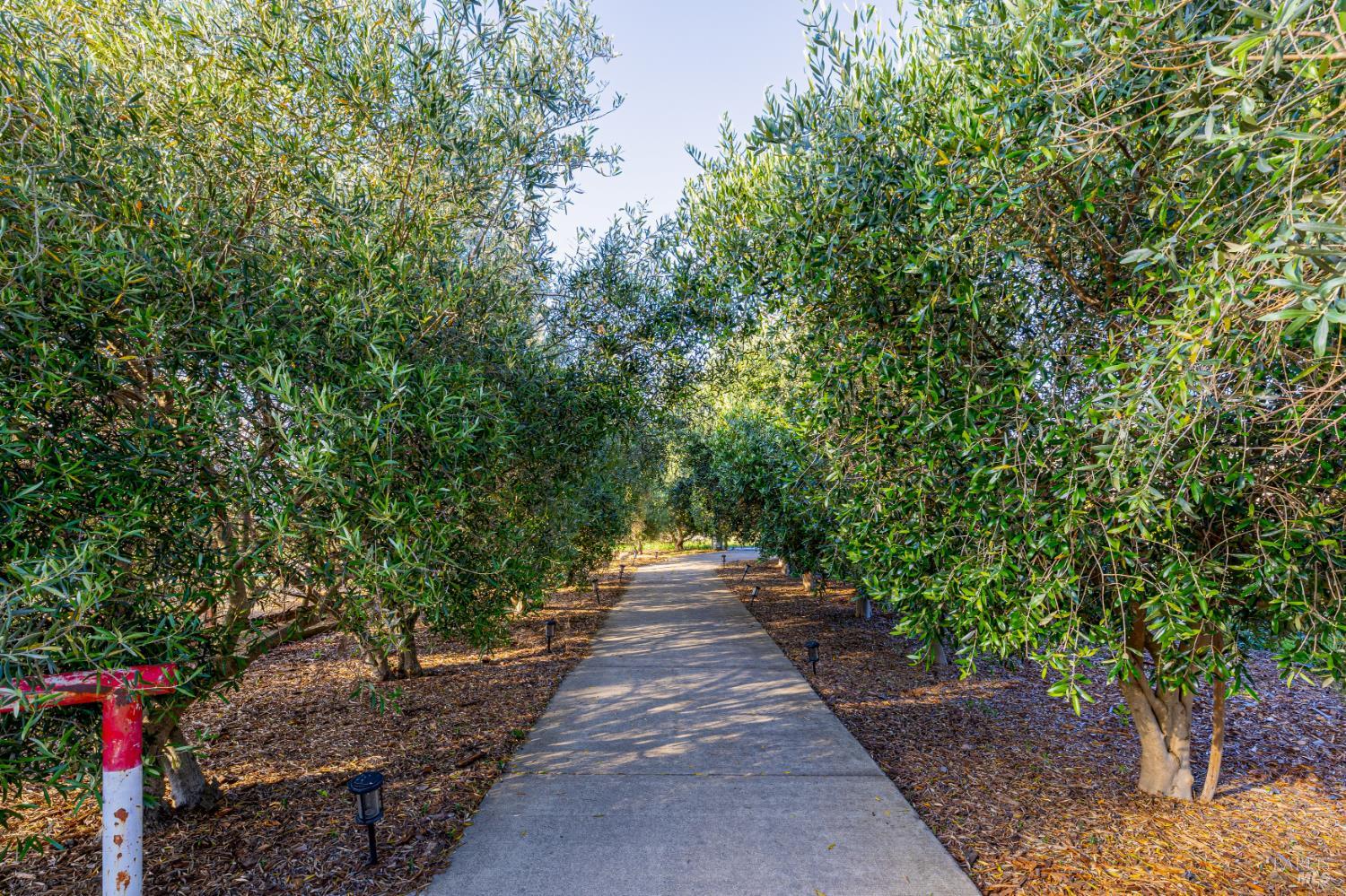 1793 Monticello Road Napa CA 94558