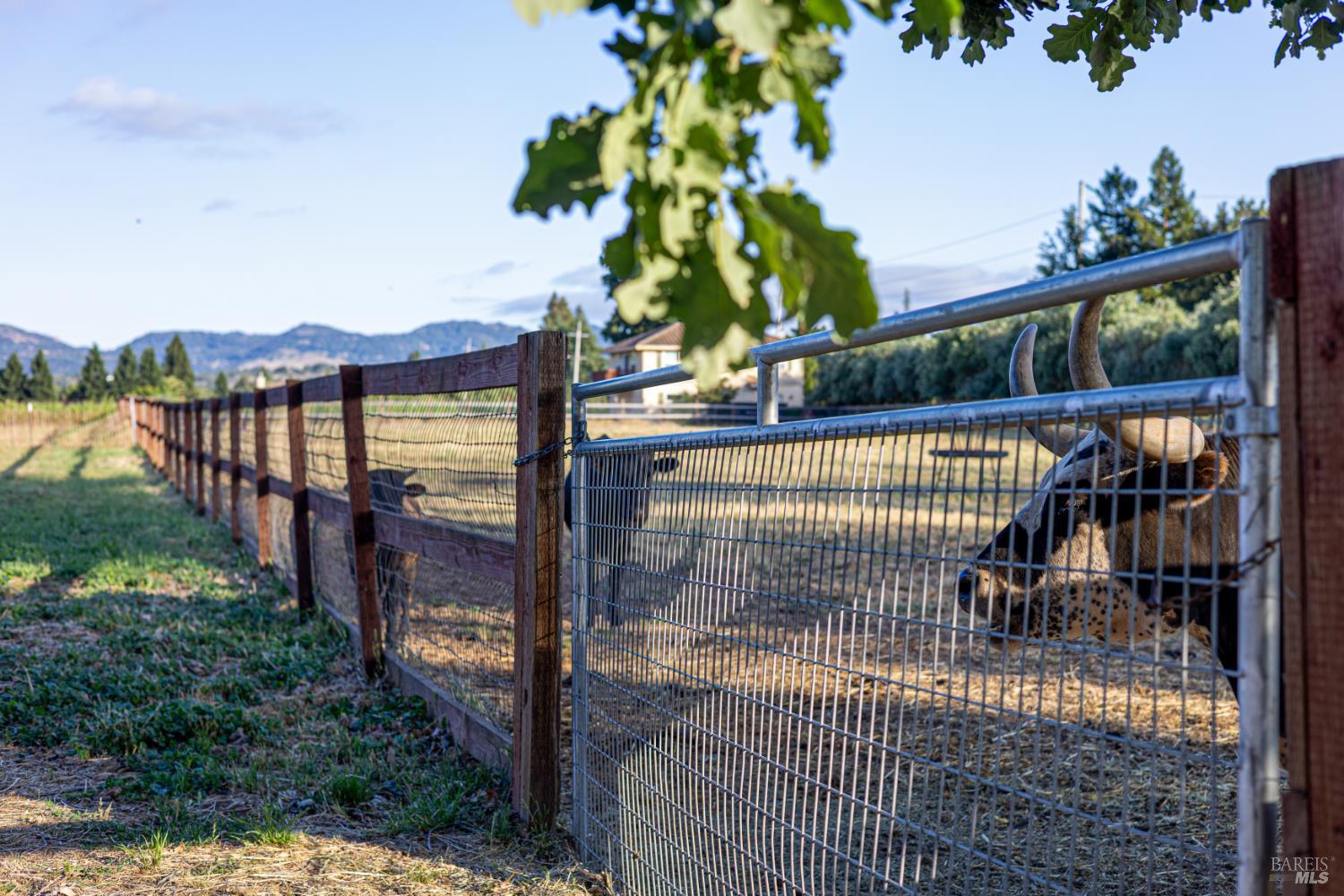 1793 Monticello Road Napa CA 94558