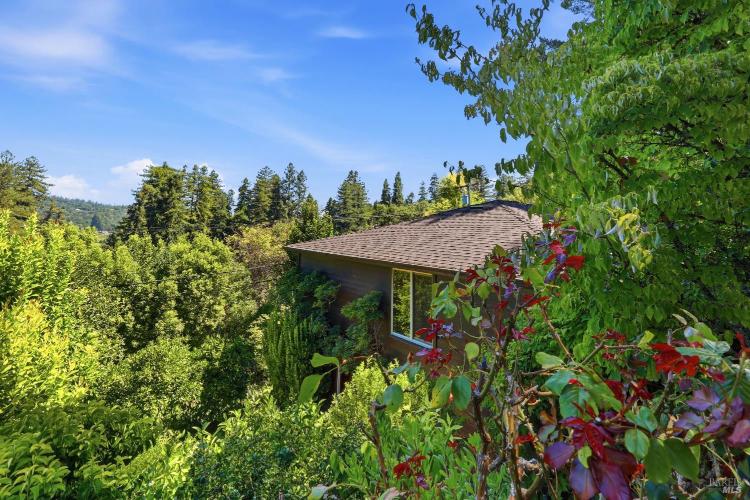 8170 Park Avenue Forestville CA 95436