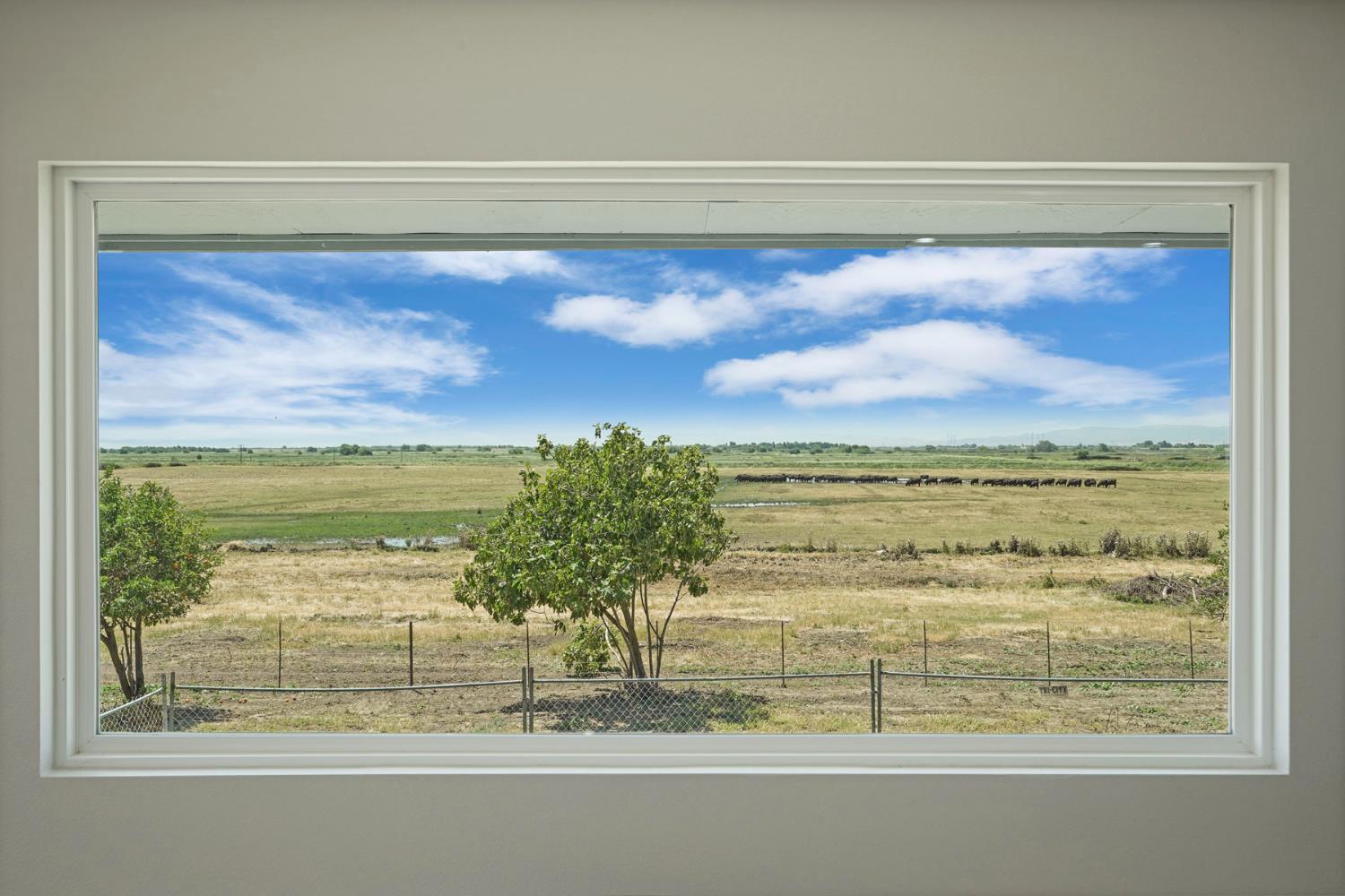 2650 Twitchell Island Road Rio Vista CA 94571