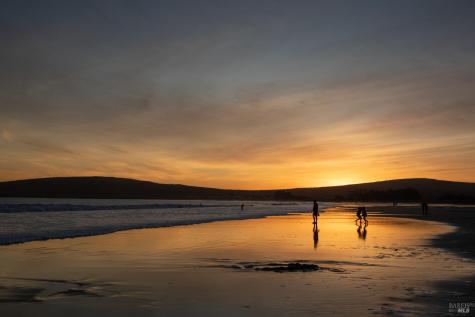 150 Cypress Loop Bodega Bay CA 94923