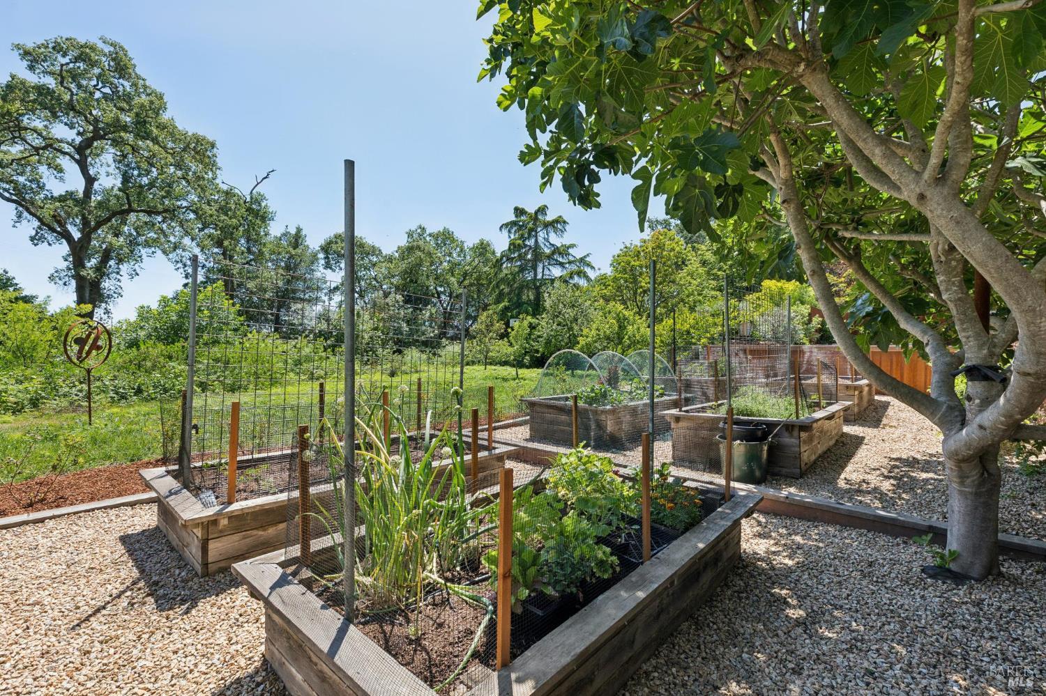1067-1069 Darms Lane Napa CA 94558