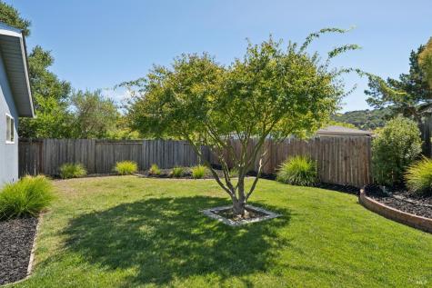 419 Montecillo Road San Rafael CA 94903