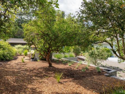 555 Magnolia Avenue Petaluma CA 94952