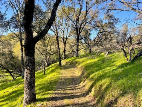 2843 Wright Ranch Lane Healdsburg CA 95448