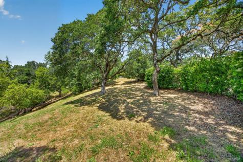 10 Lockton Lane Novato CA 94945
