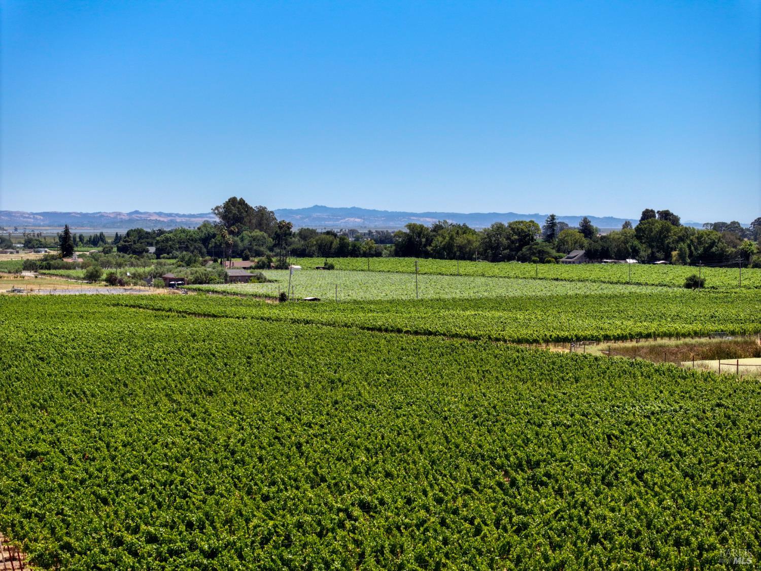 1720 Los Carneros Avenue Napa CA 94559