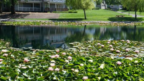 18120 Vassar Court Sonoma CA 95476