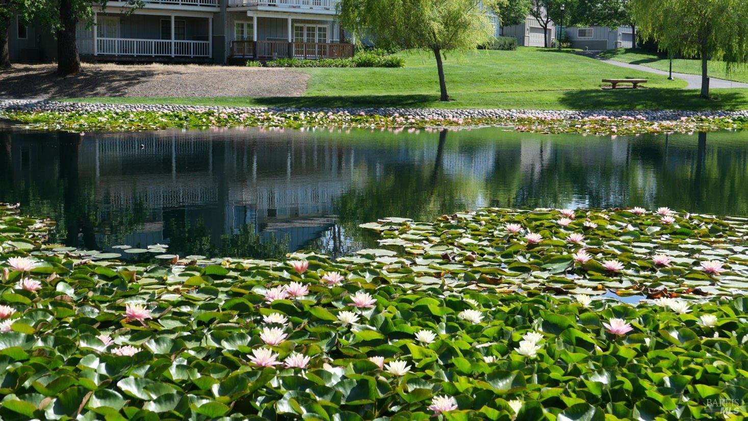 18120 Vassar Court Sonoma CA 95476