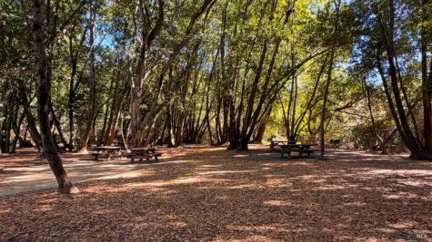 23 Grande Vista Novato CA 94947