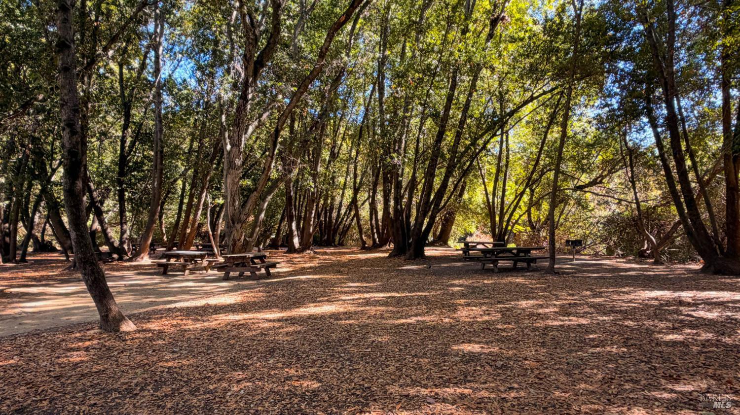 23 Grande Vista Novato CA 94947