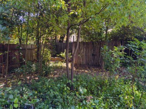 139 W Agua Caliente Road Sonoma CA 95476