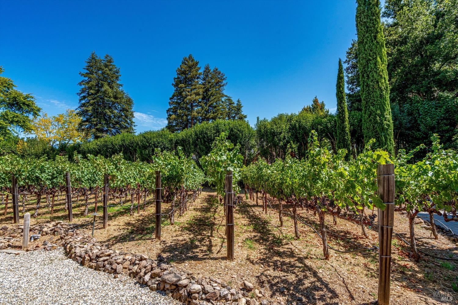 3960 Hagen Road Napa CA 94558