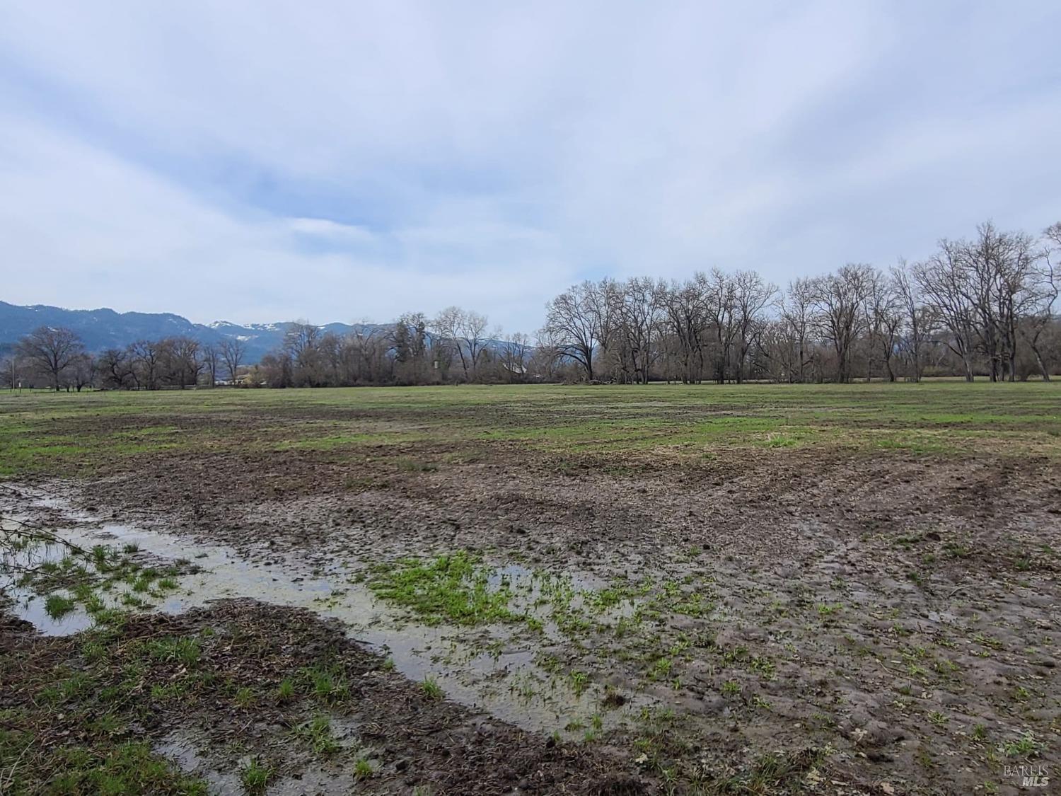 75589 Covelo Road Covelo CA 95428