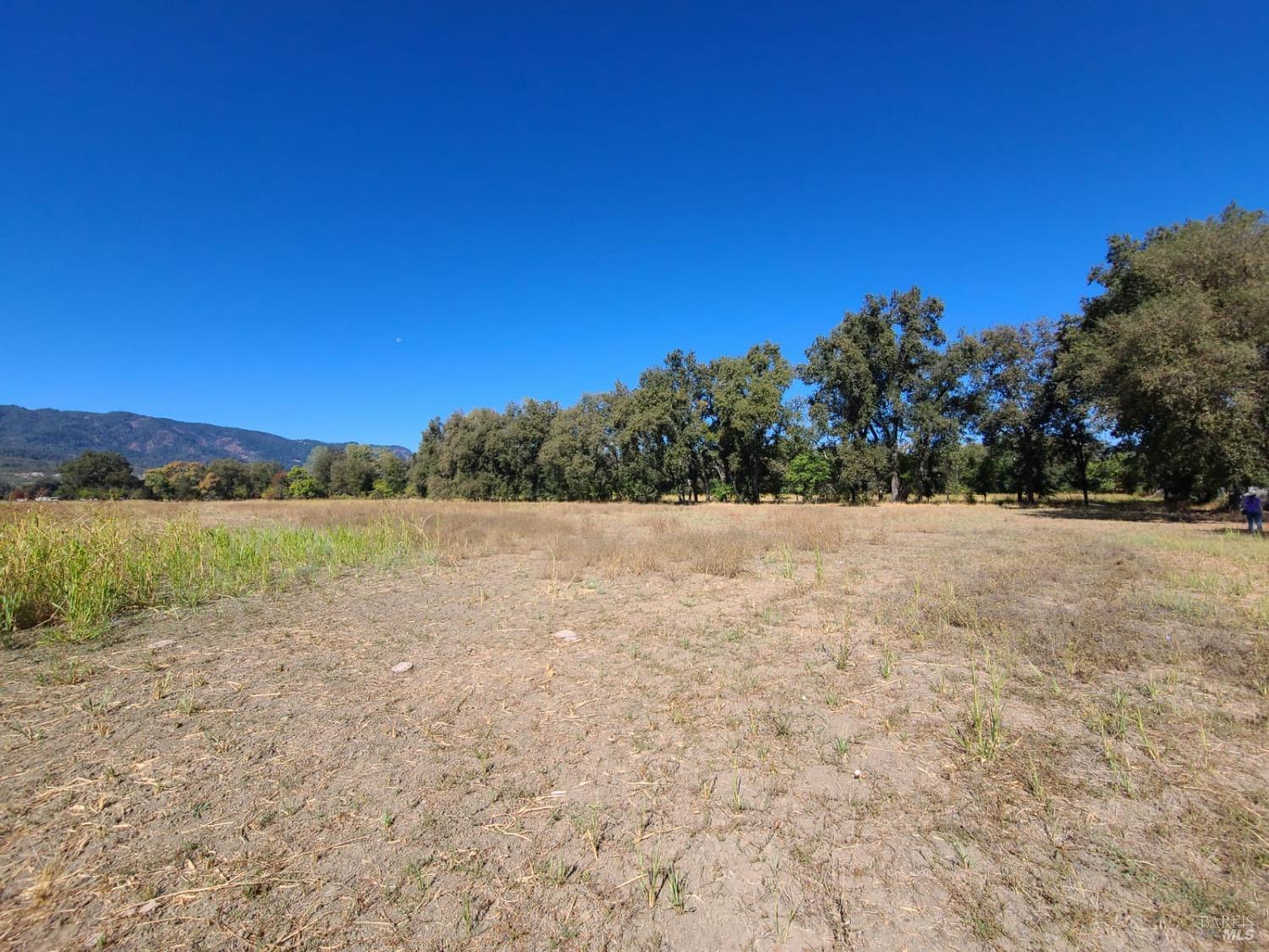 75589 Covelo Road Covelo CA 95428