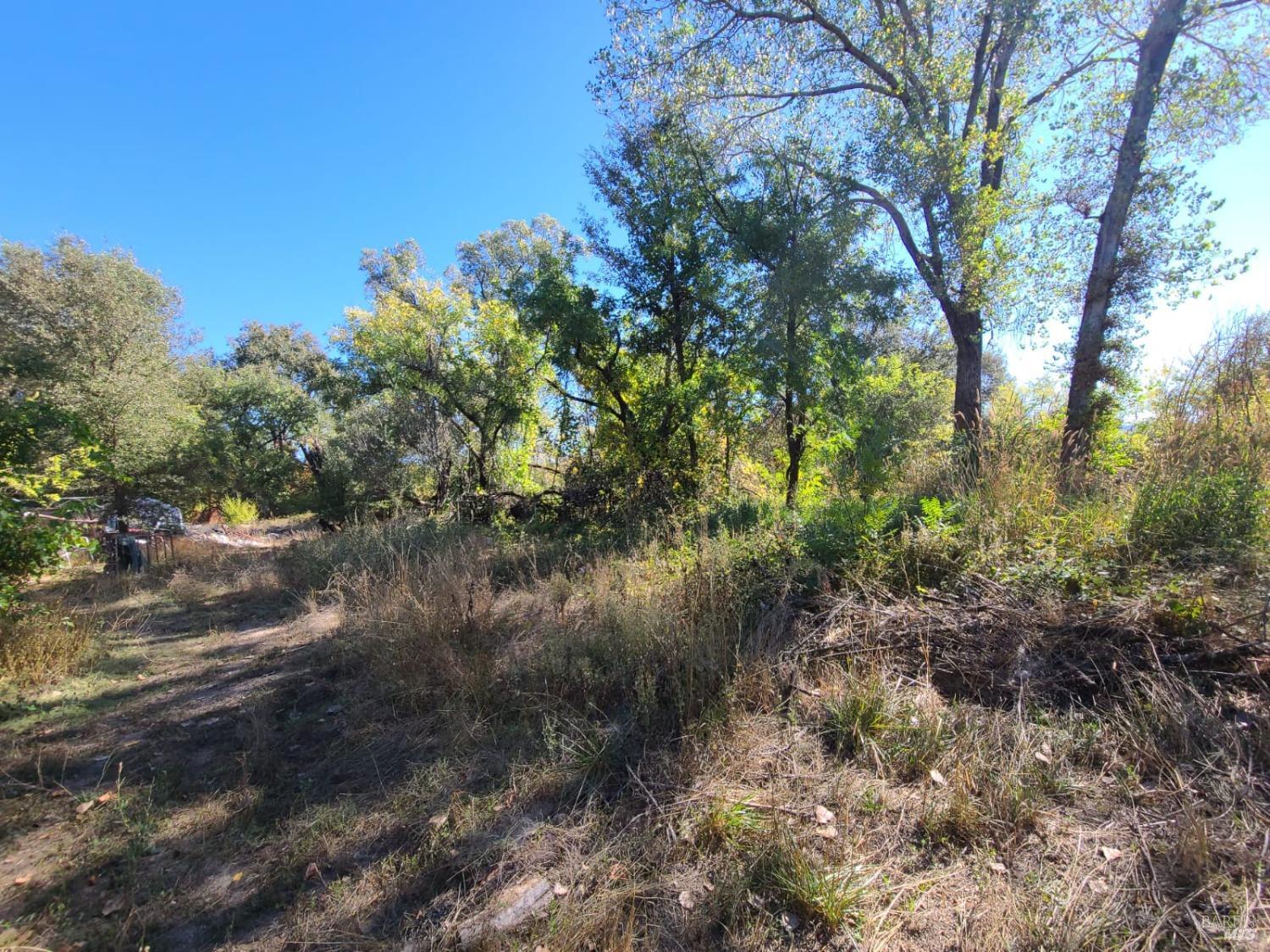75589 Covelo Road Covelo CA 95428