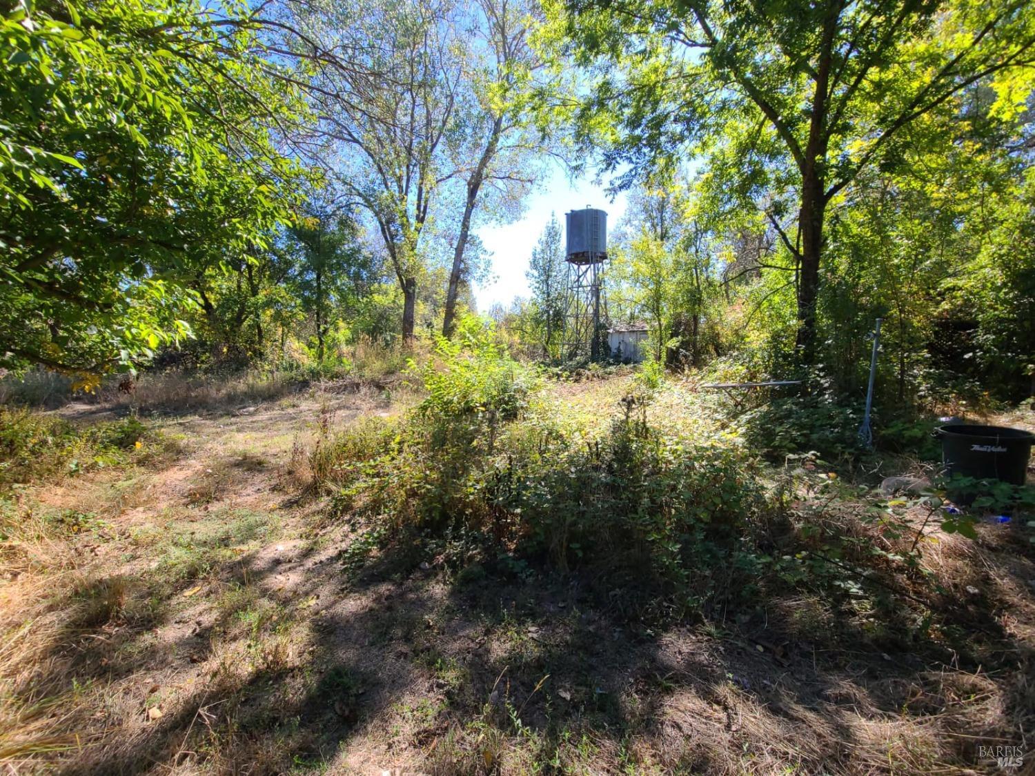 75589 Covelo Road Covelo CA 95428