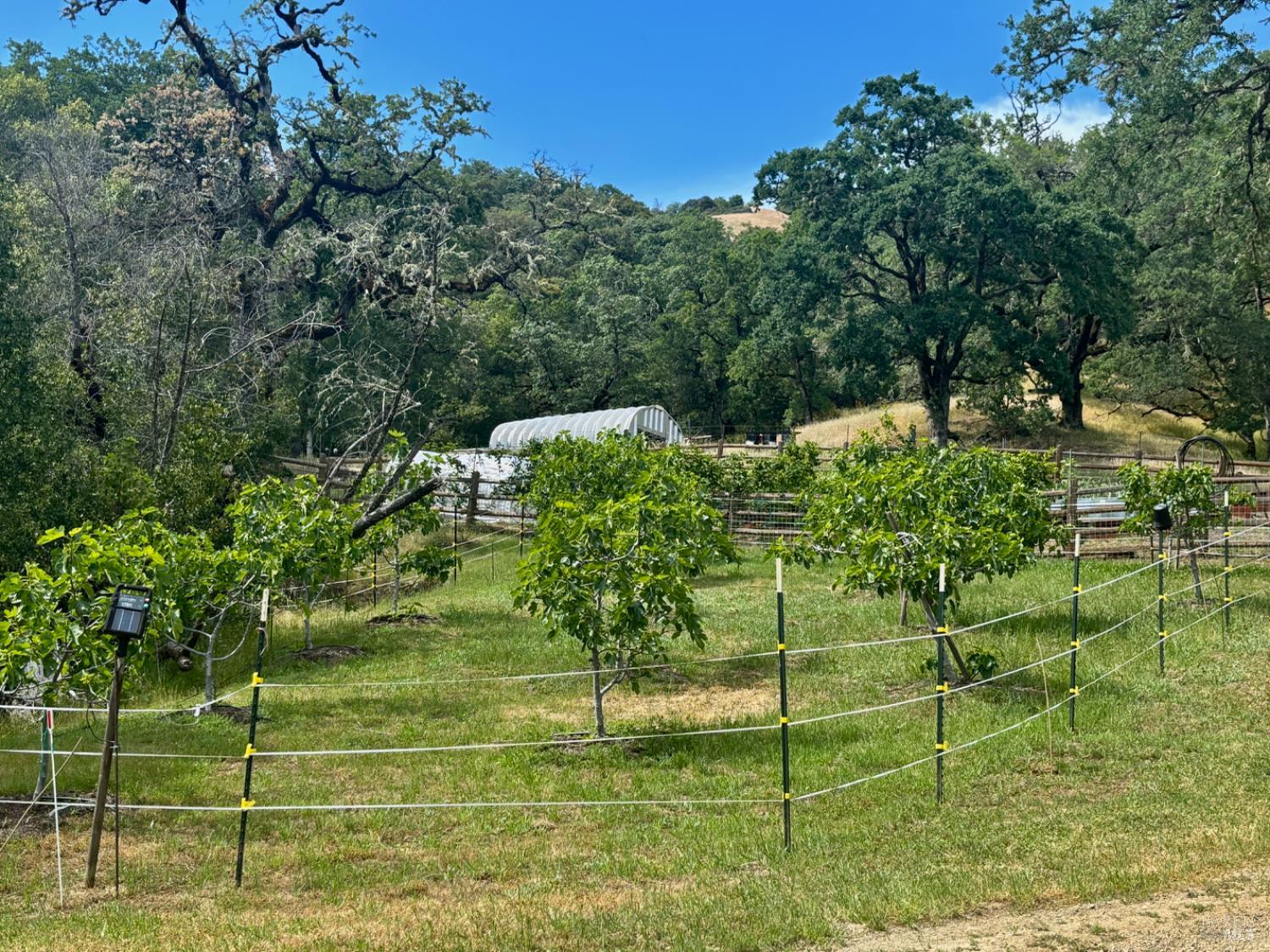 2371 Mcnab Ranch Road Ukiah CA 95482