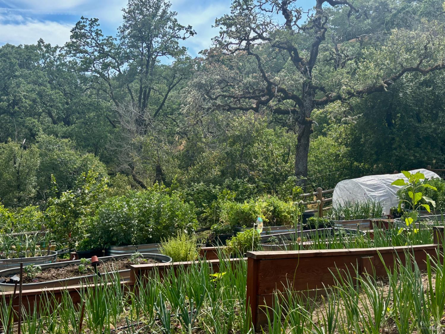 2371 Mcnab Ranch Road Ukiah CA 95482