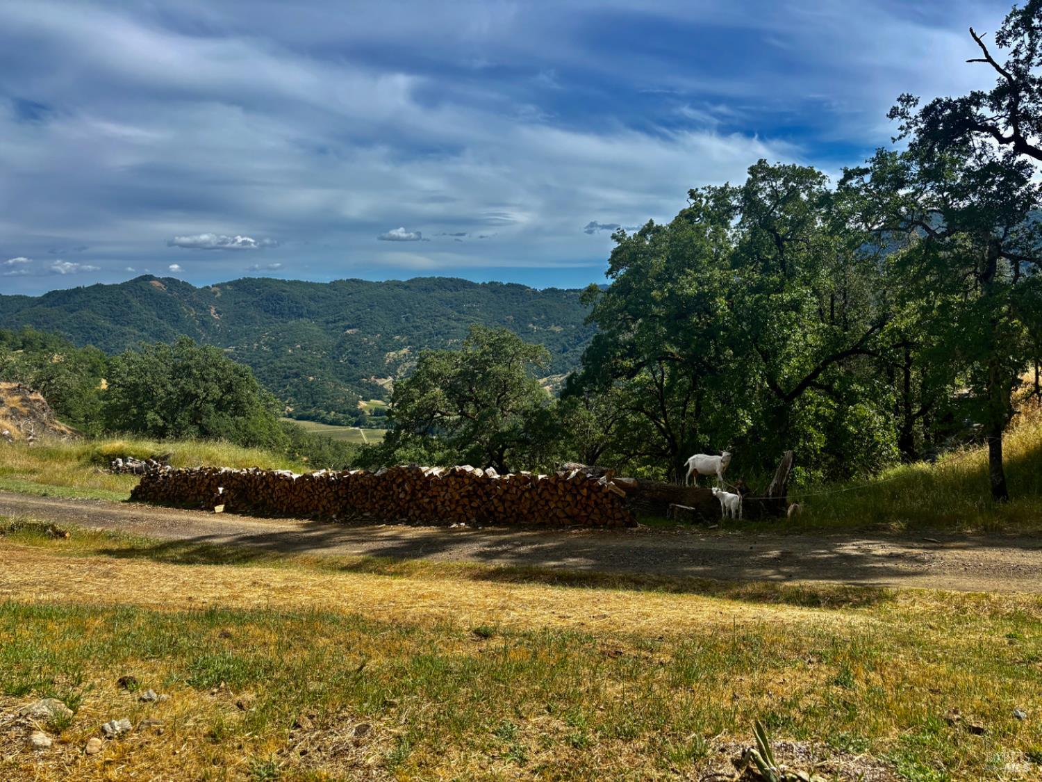 2371 Mcnab Ranch Road Ukiah CA 95482