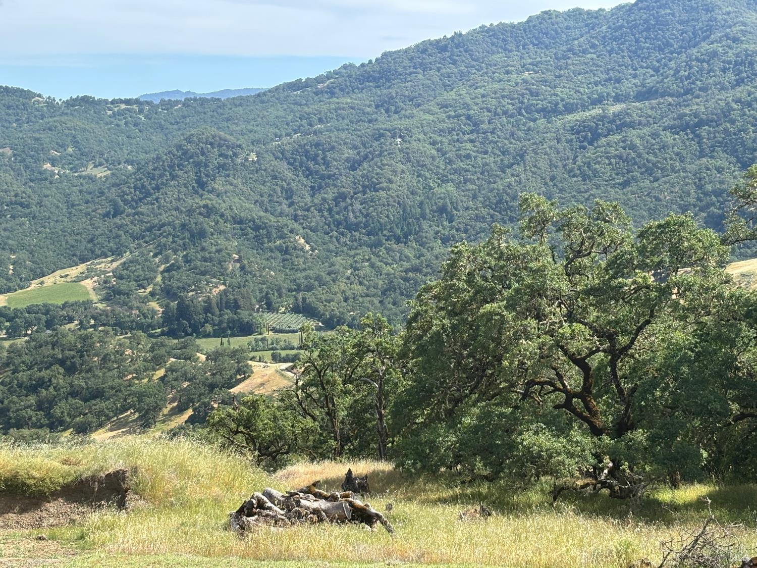 2371 Mcnab Ranch Road Ukiah CA 95482
