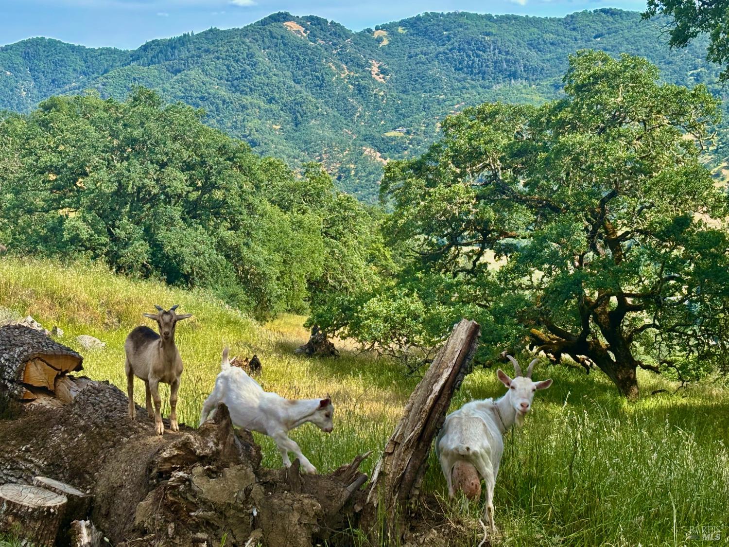 2371 Mcnab Ranch Road Ukiah CA 95482