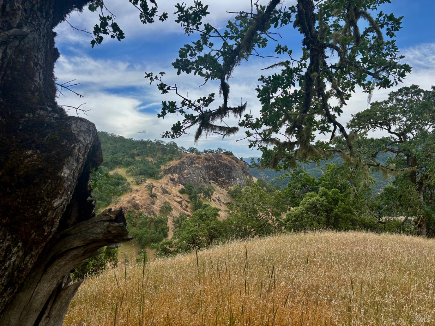 2371 Mcnab Ranch Road Ukiah CA 95482