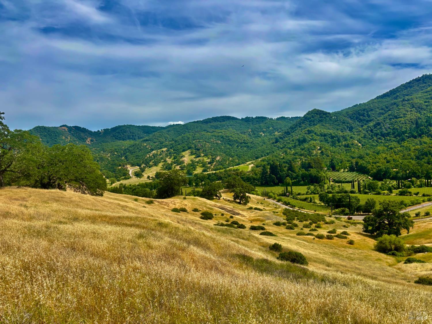 2371 Mcnab Ranch Road Ukiah CA 95482
