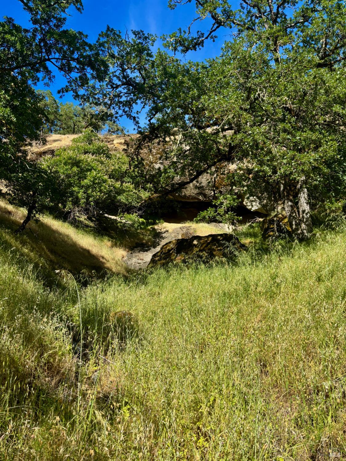 2371 Mcnab Ranch Road Ukiah CA 95482