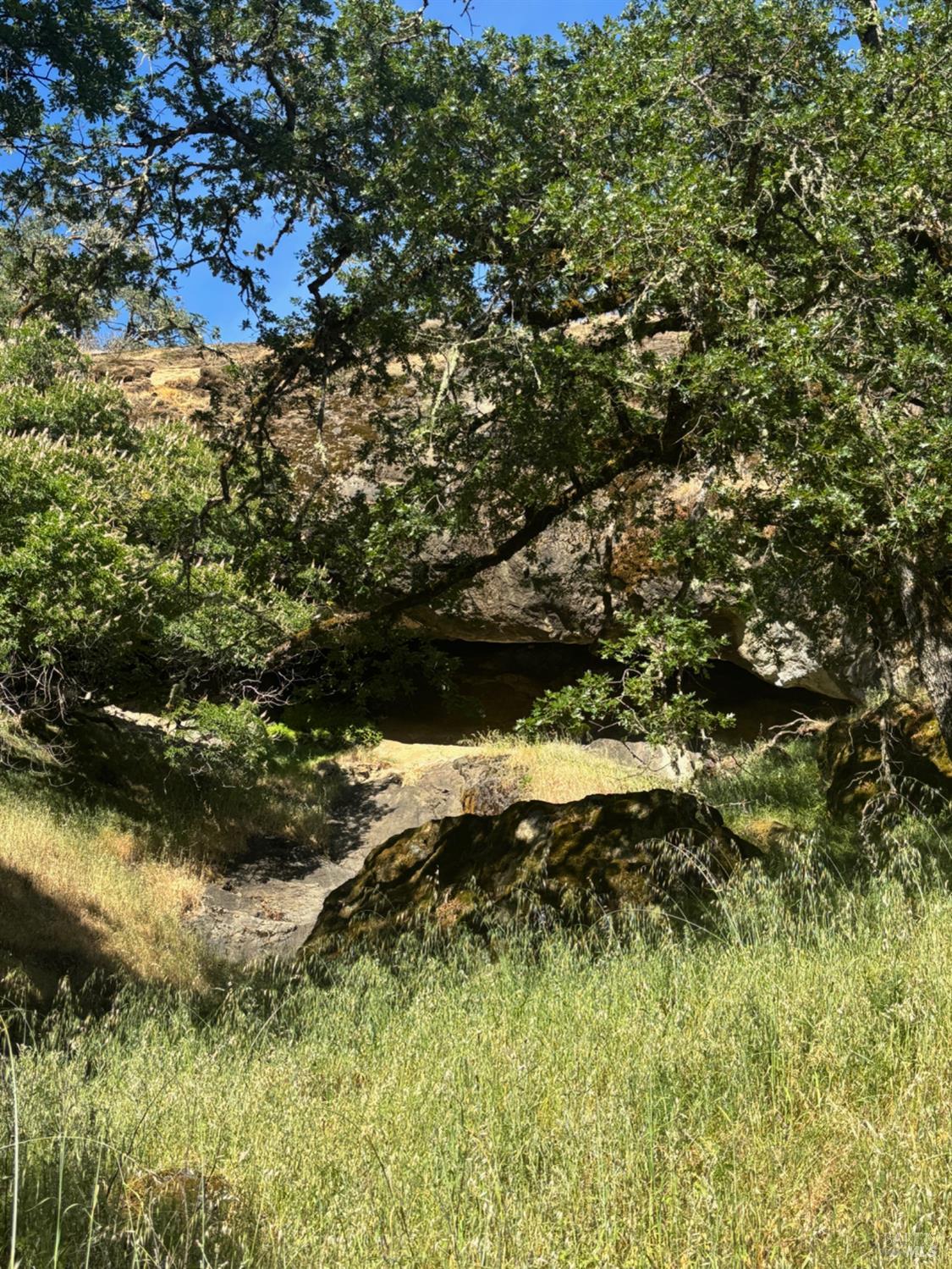 2371 Mcnab Ranch Road Ukiah CA 95482