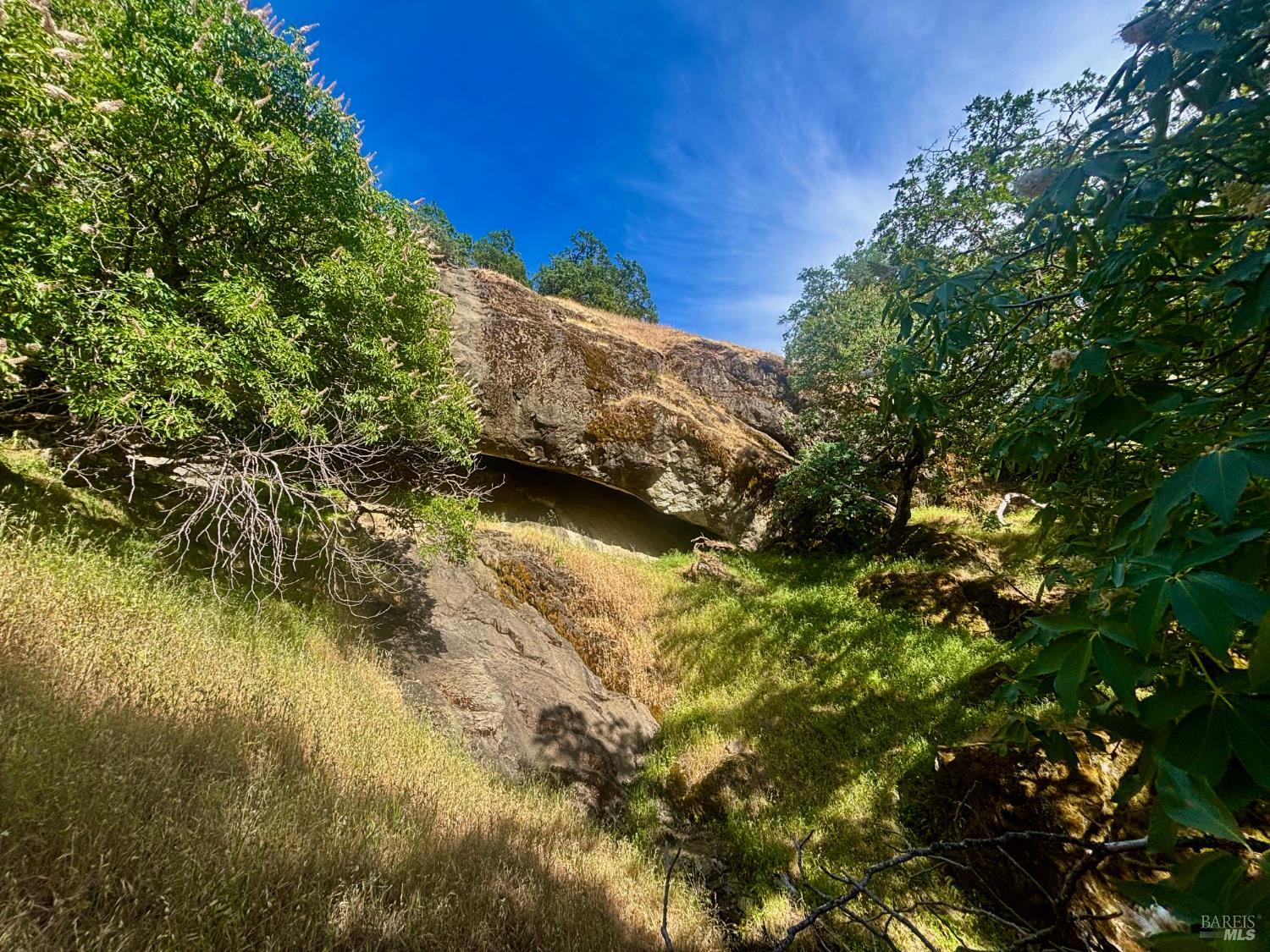 2371 Mcnab Ranch Road Ukiah CA 95482