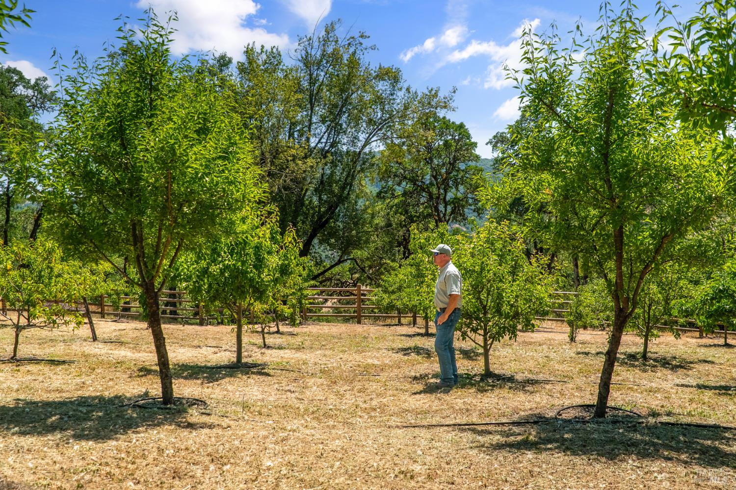 2371 Mcnab Ranch Road Ukiah CA 95482