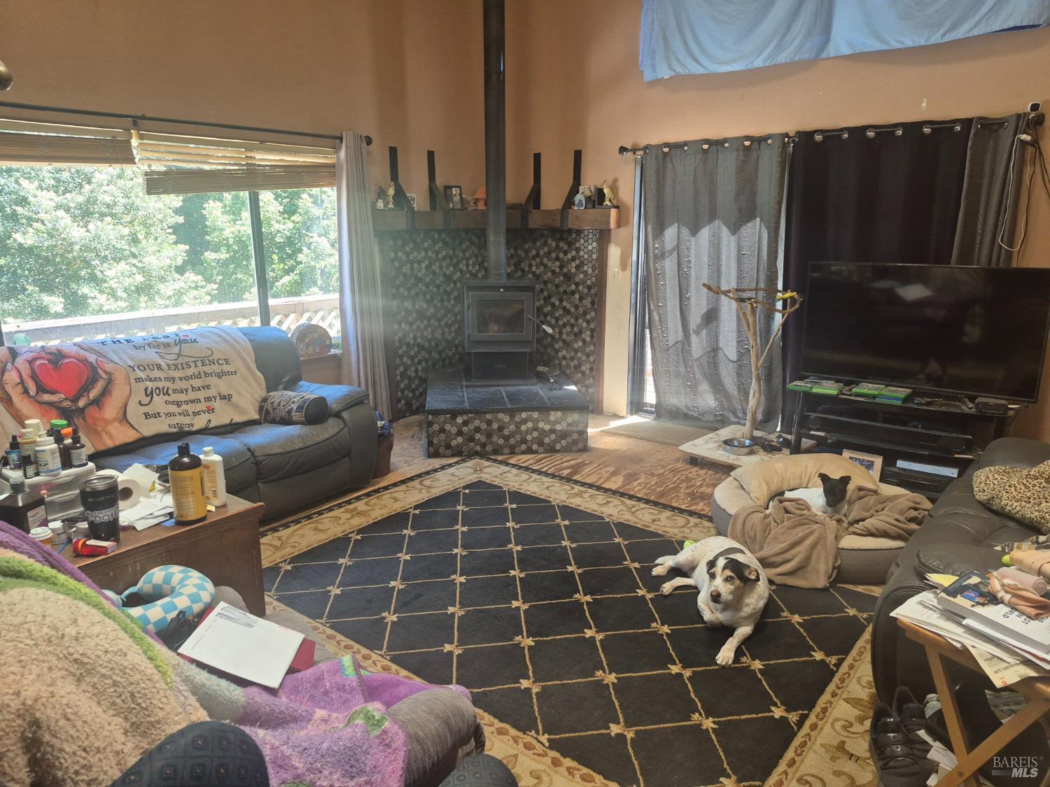 29600 Timberline Road Willits CA 95490
