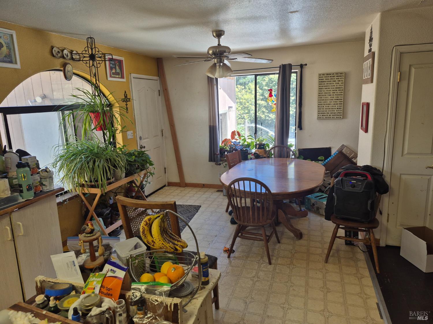 29600 Timberline Road Willits CA 95490
