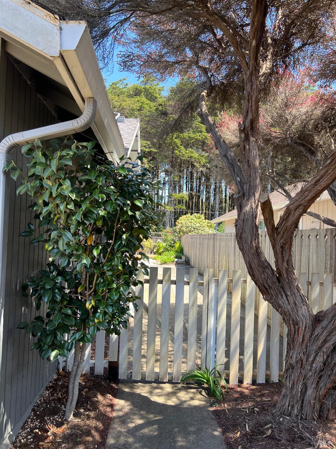 110 Hocker Lane Fort Bragg CA 95437