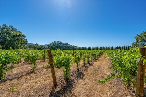 8049 Sonoma Highway Santa Rosa CA 95409