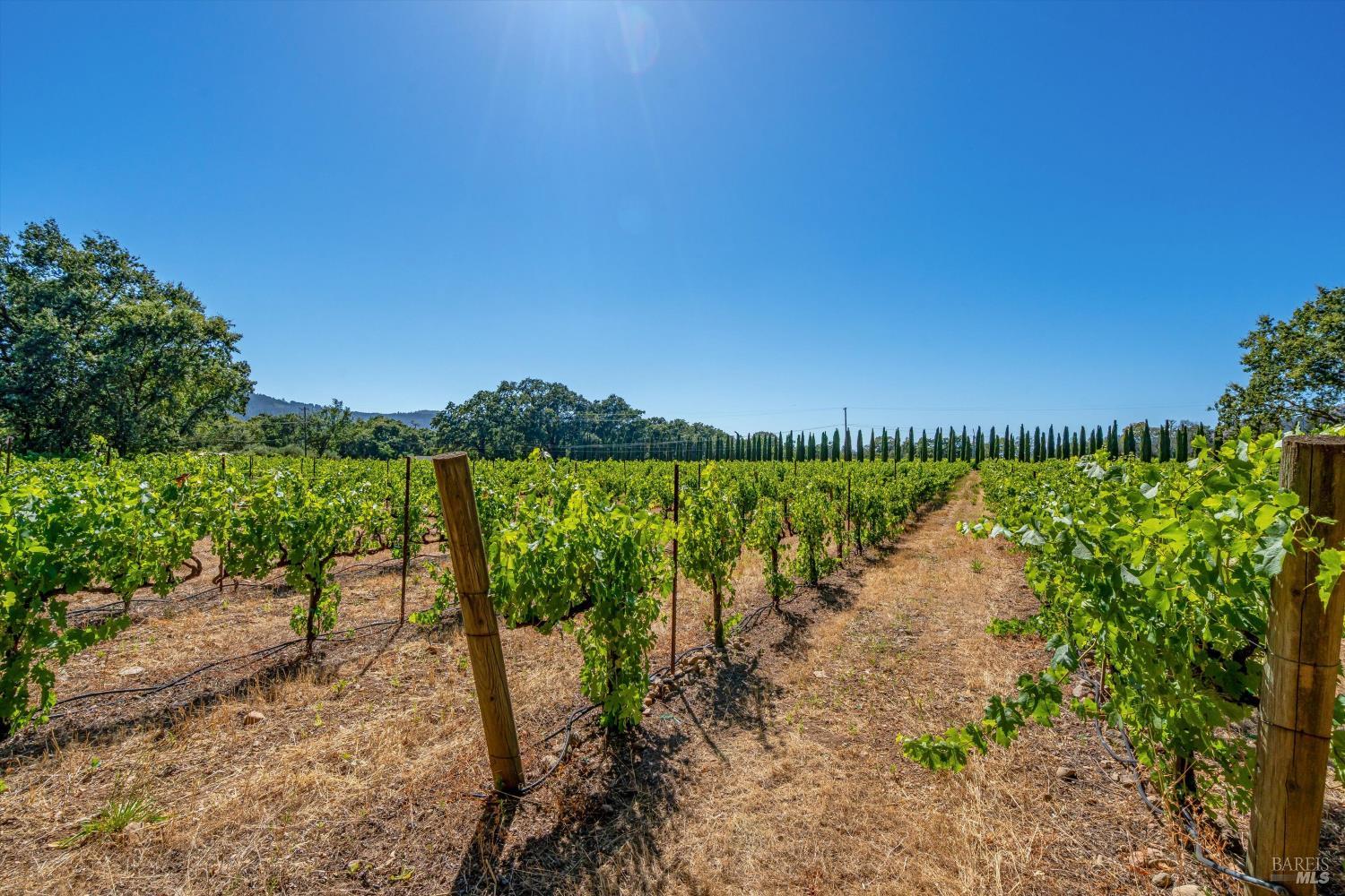 8049 Sonoma Highway Santa Rosa CA 95409