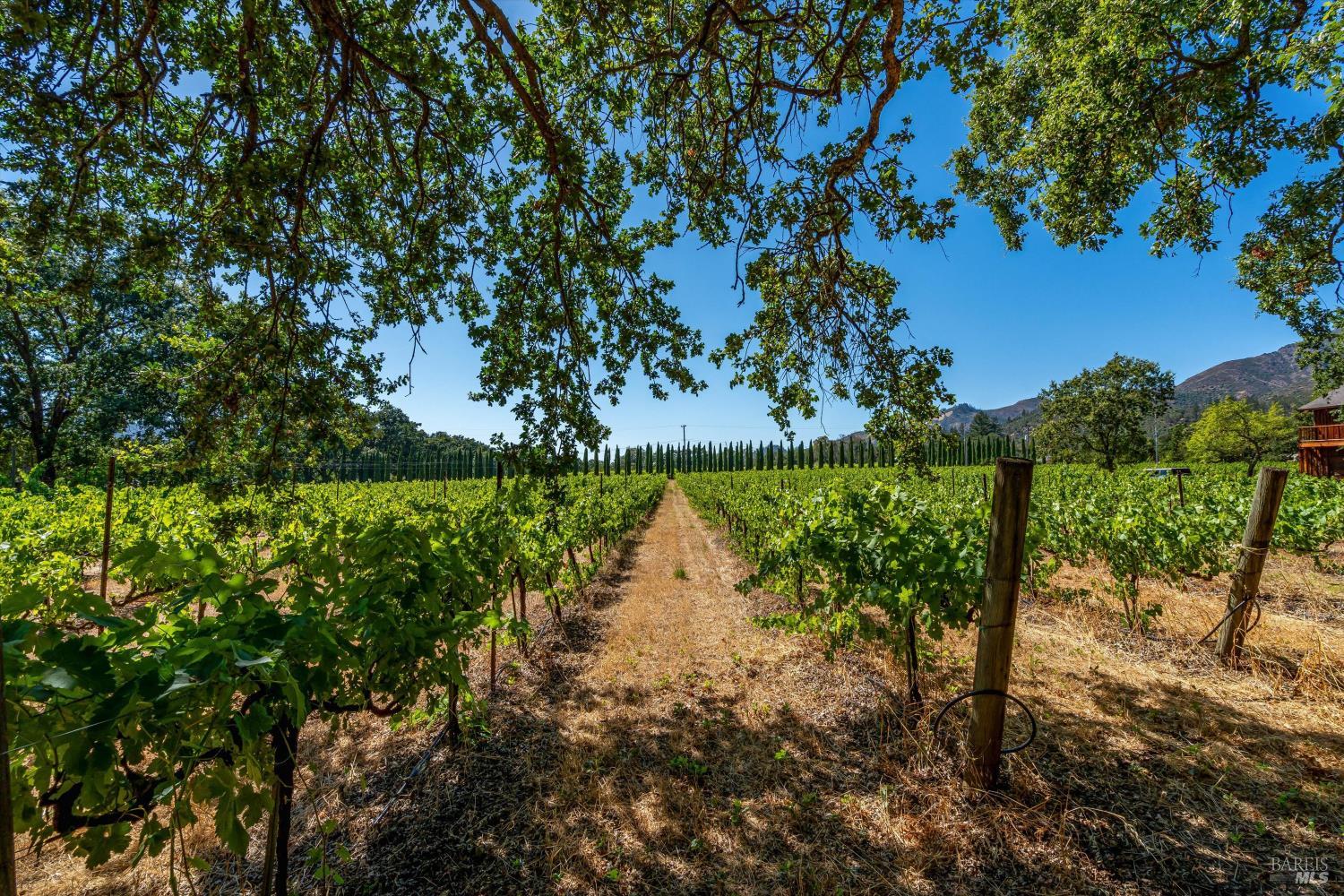 8049 Sonoma Highway Santa Rosa CA 95409