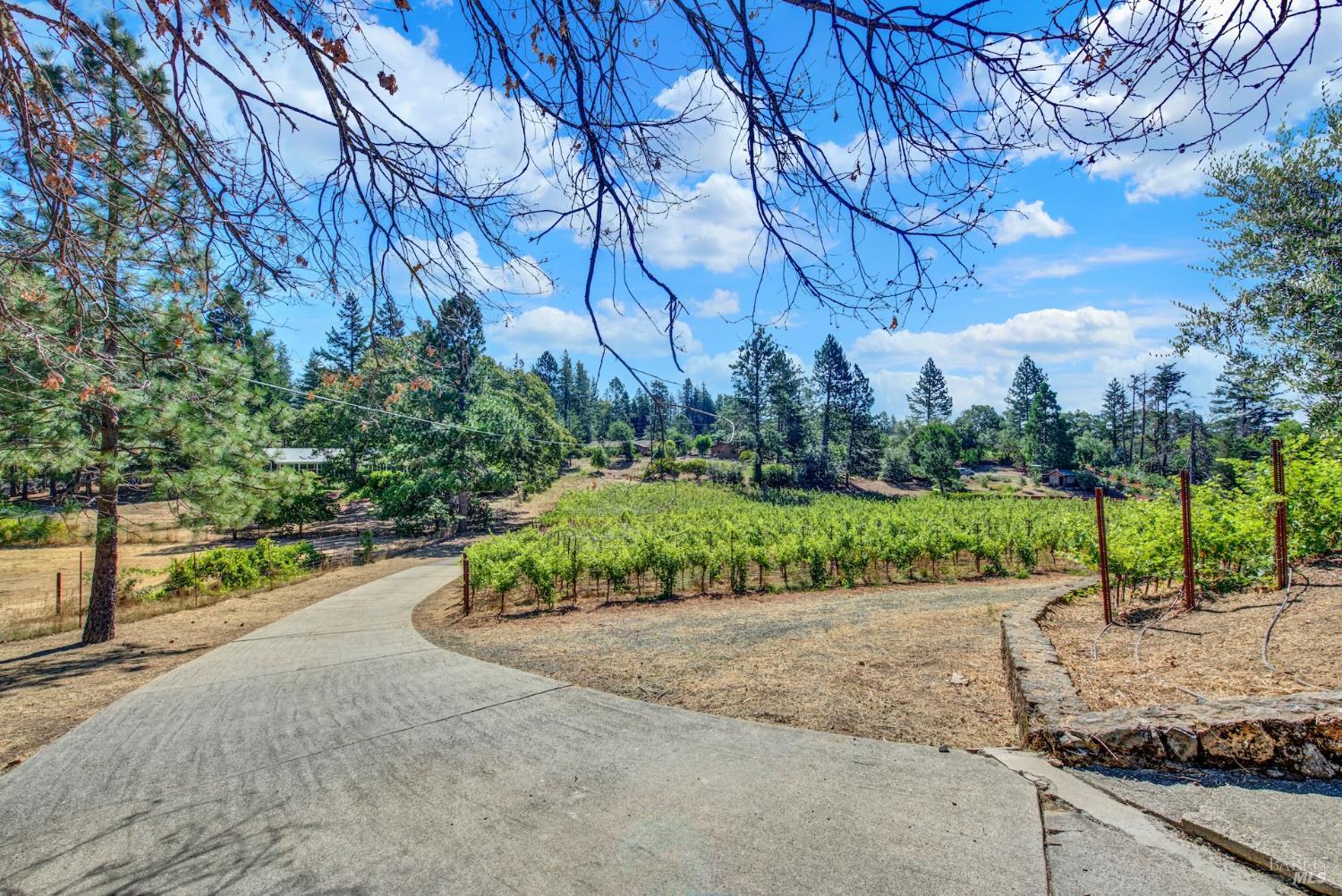 875 White Cottage Road N Angwin CA 94508