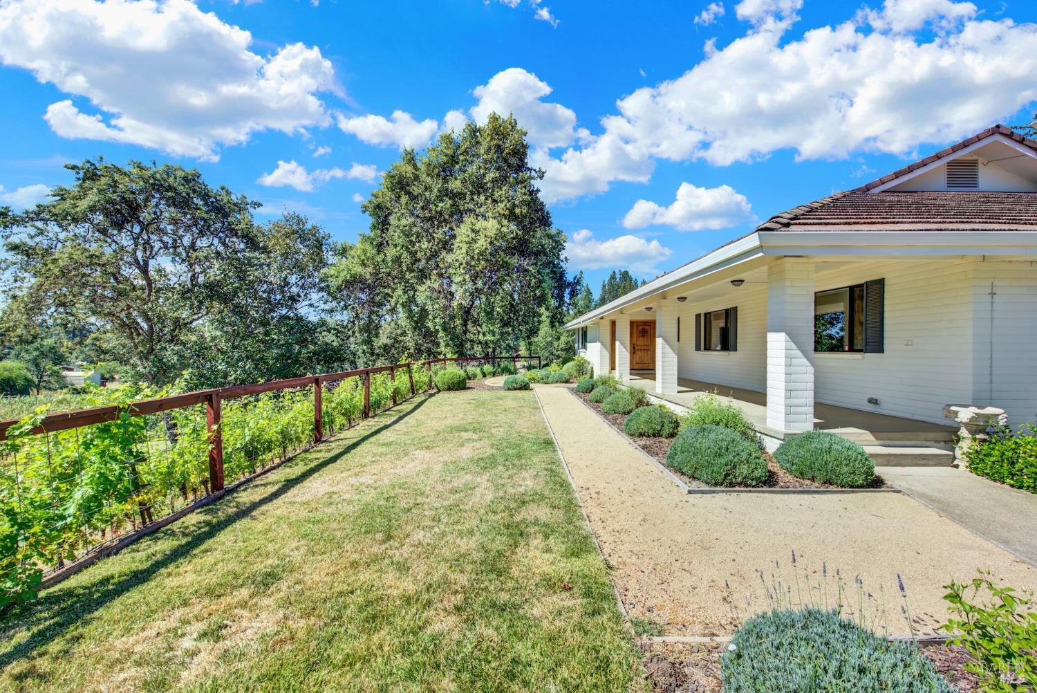 875 White Cottage Road N Angwin CA 94508