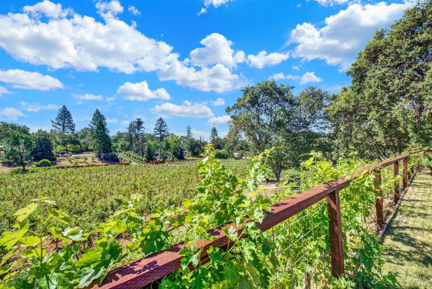 875 White Cottage Road N Angwin CA 94508